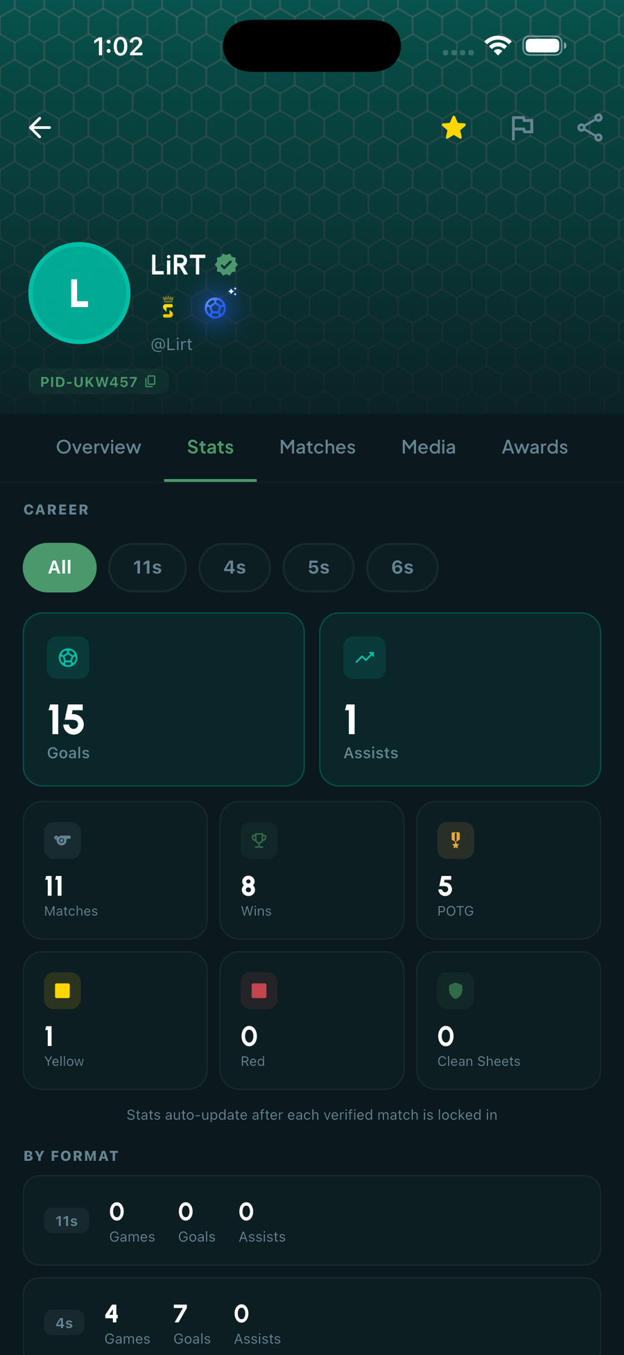 Player profile career stats